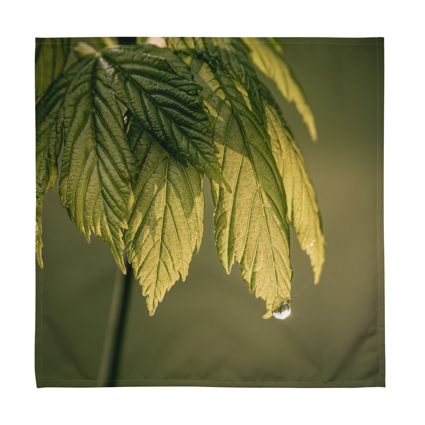 Spring rain - Cloth napkin set